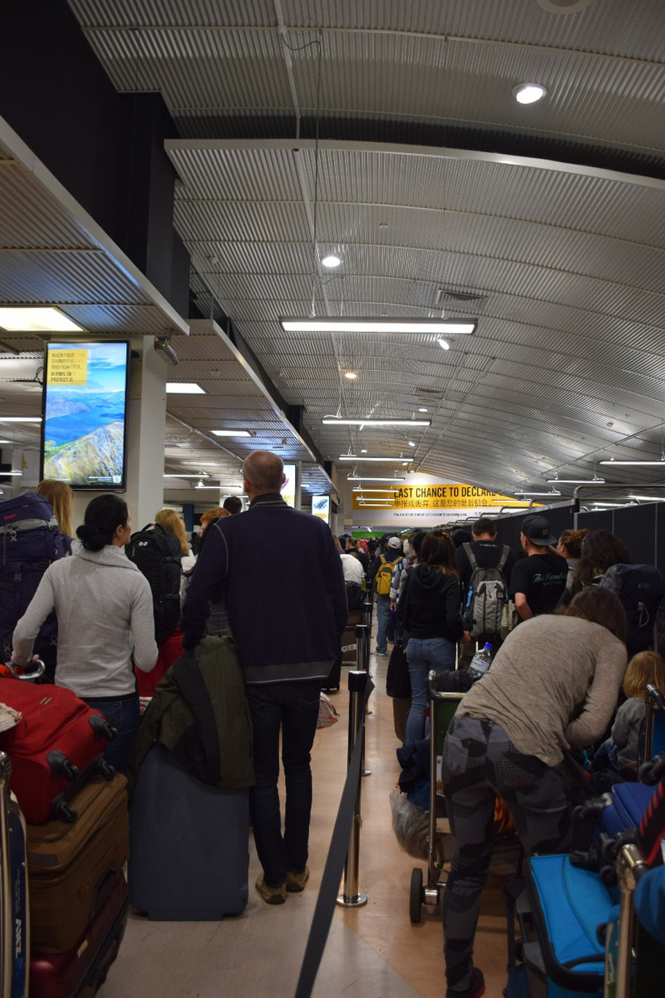 Neuseeland - Auckland - In Auckland am Flughafen - die lange Schlange führt nicht etwa zur Passkontrolle, sondern zur Biosecurity-Kontrolle. Aus Angst vor eingeschleppten Tieren oder Pflanzen gibt es hier strenge Richtlinien und hohe Strafen...