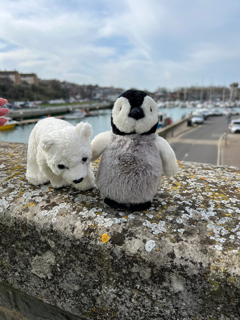 Vereinigtes Königreich - Portland - Und diese Beiden waren natürlich auch dabei