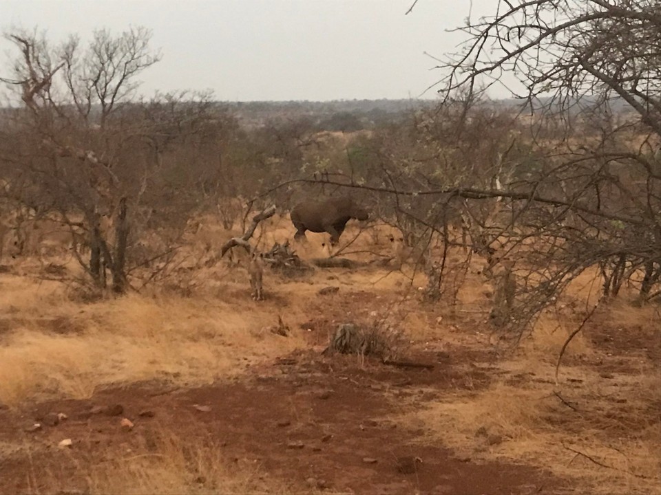 Südafrika -  - 