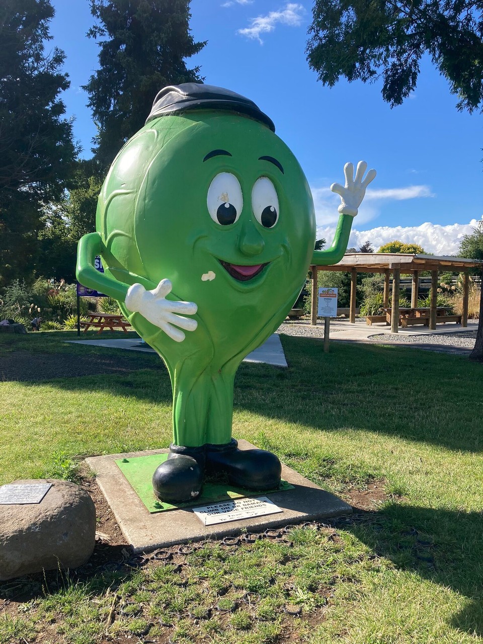 Neuseeland - Ohakune - Rosenkohl „Sir Lancelot“