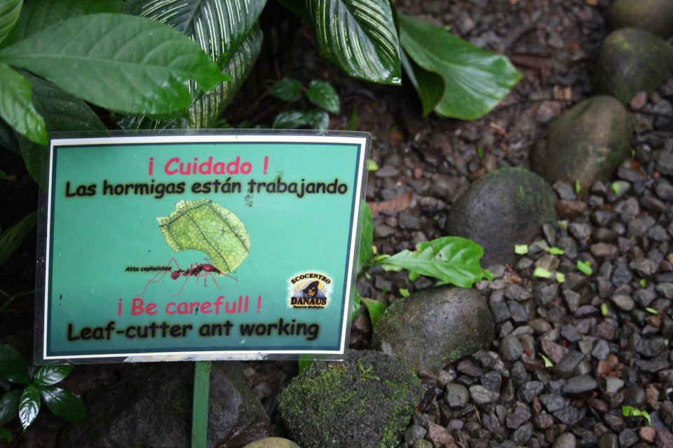 Costa Rica - La Fortuna - 