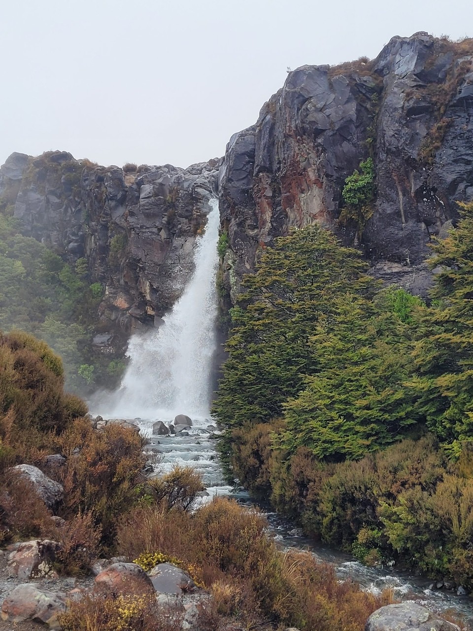 Neuseeland - Tongariro-Nationalpark - 