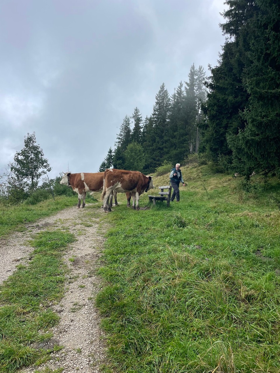 Deutschland - Garmisch-Partenkirchen - 