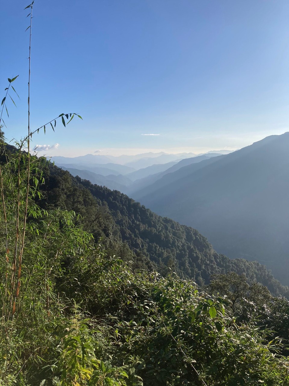 Nepal -  - Nachmittag in Forest Camp