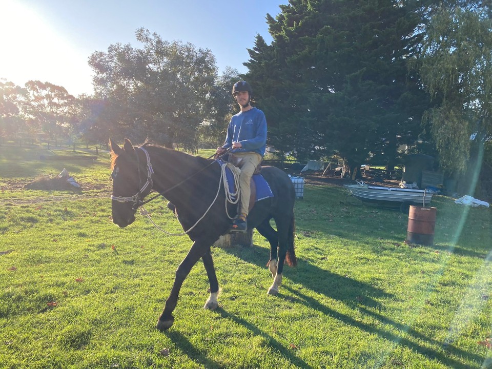 Neuseeland - Ward - Als wäre es das normalste der Welt 😅