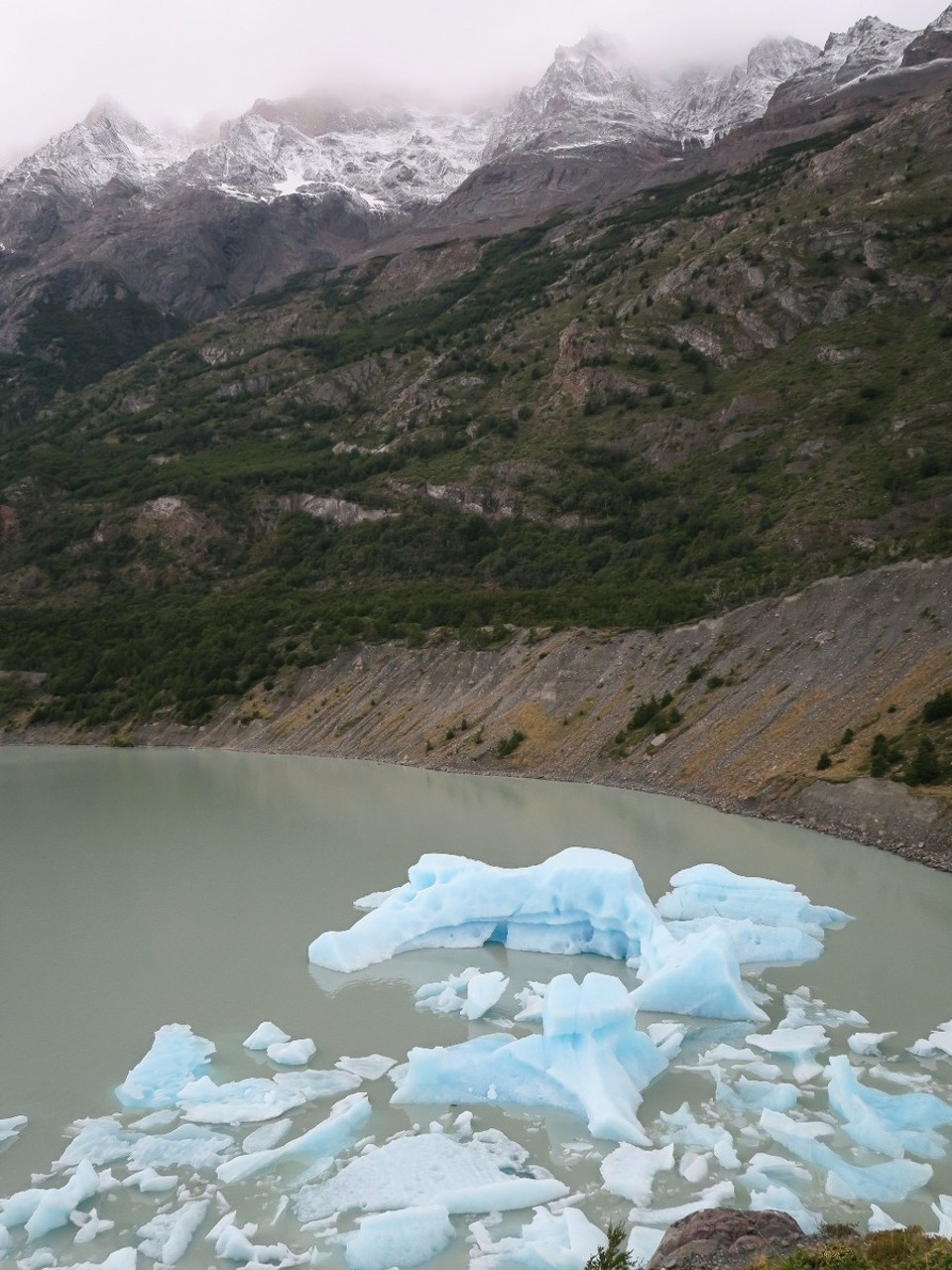 Chile - Torres del Paine National Park - Quelques icebergs sur le lago Grey