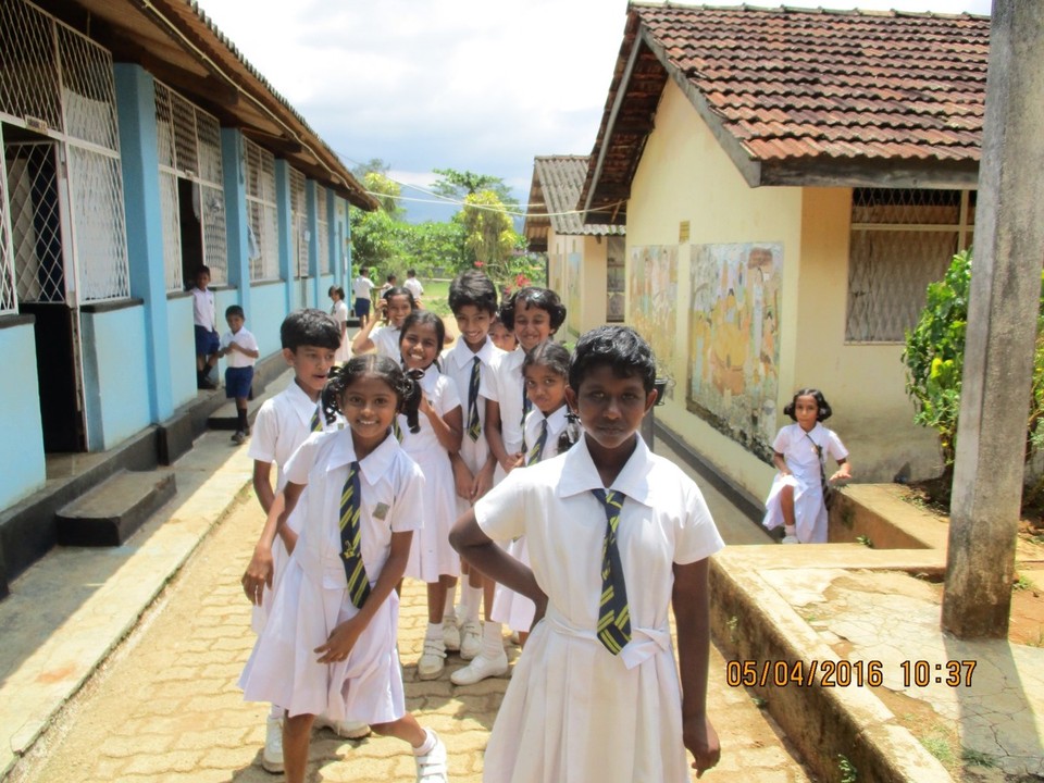 Sri Lanka - Deniyaya - 
