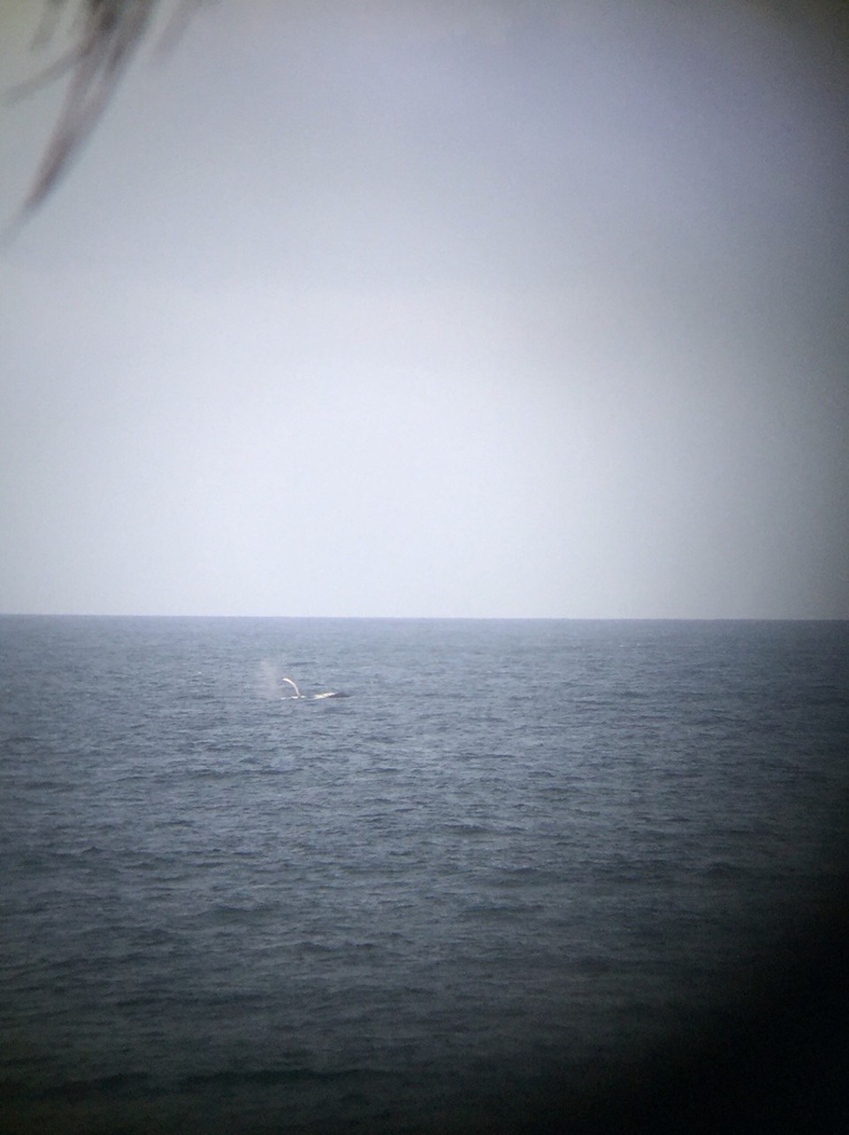  - Australia, Bonny Hills Caravan Park - Bálnalesben már nagyon jók vagyunk. 