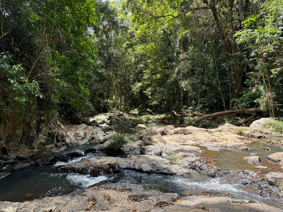 Australien - Kuranda - 