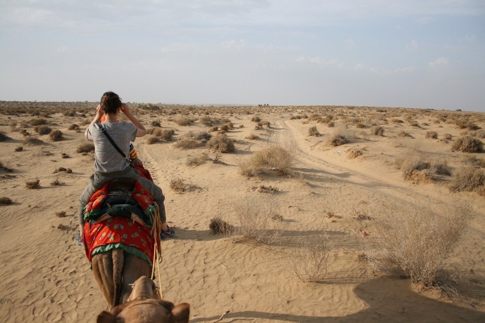 Thar Desert -  - 