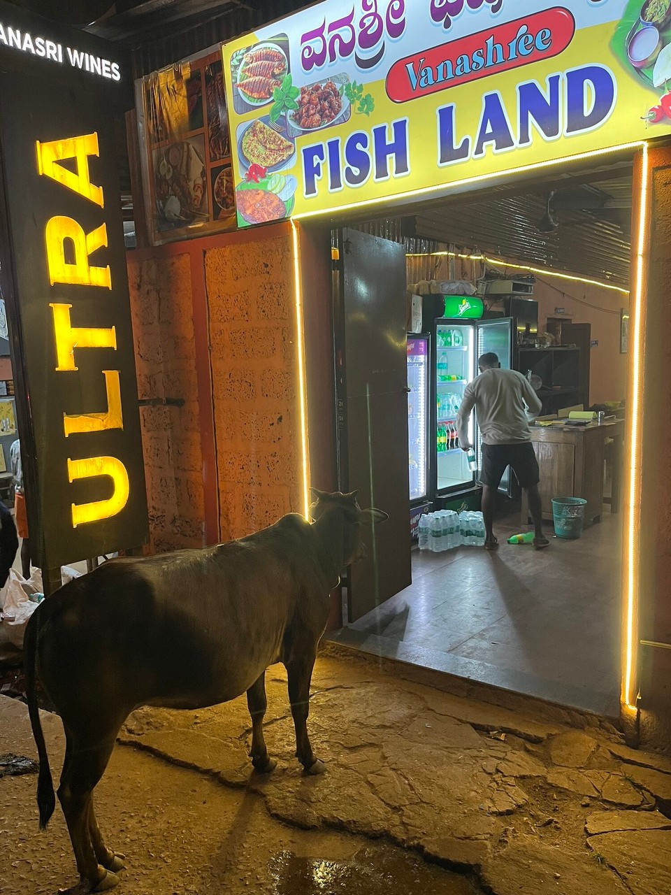 Indien - Gokarna - Fishland Restaurant