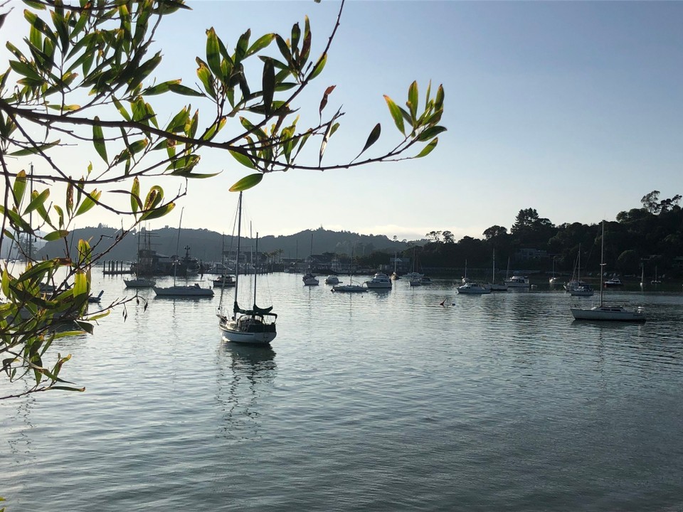 Neuseeland - Karikari Peninsula - Marina von Opua