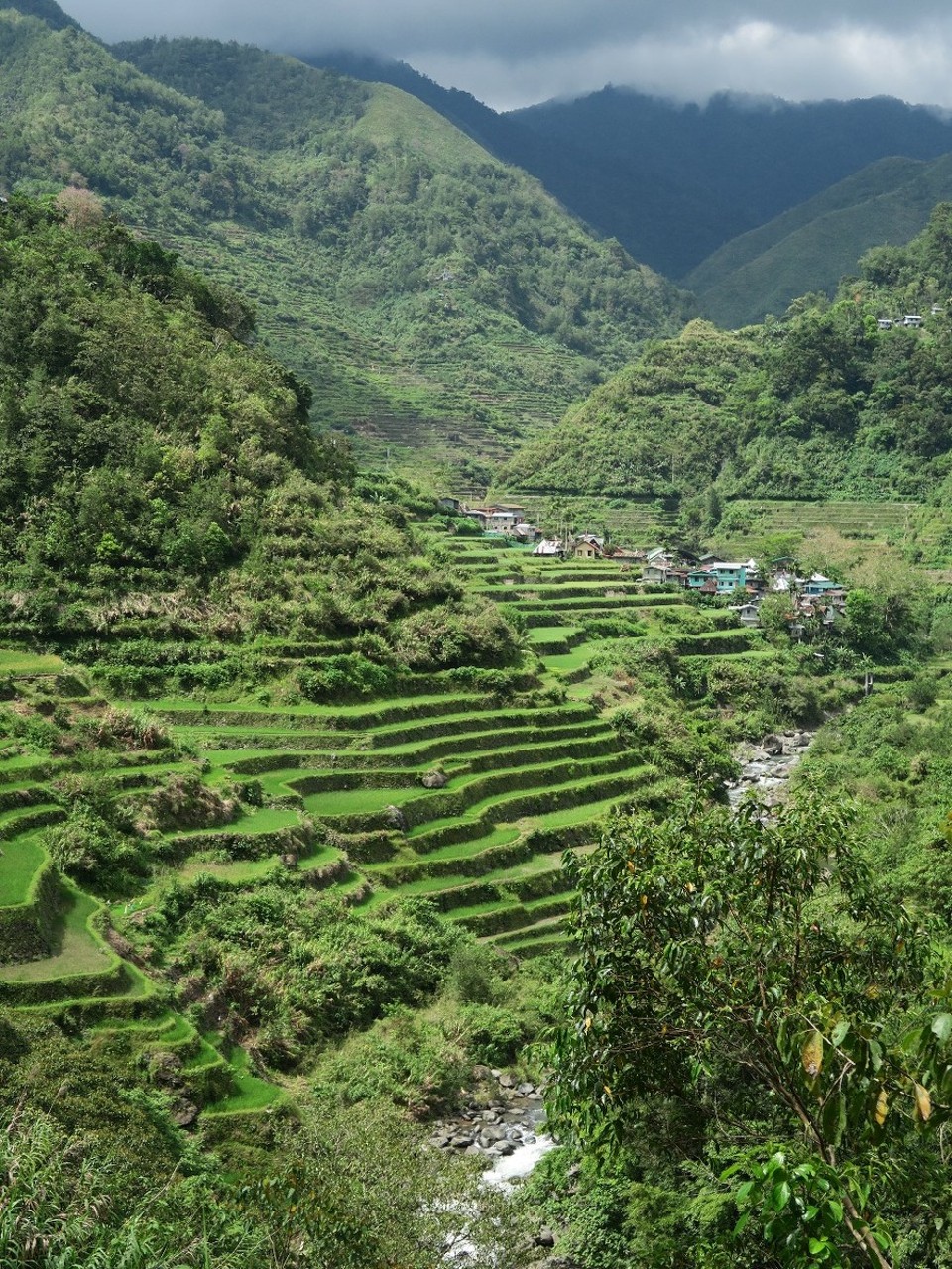 Philippines - Banaue - Cambulo, a 2h de marche de Batad