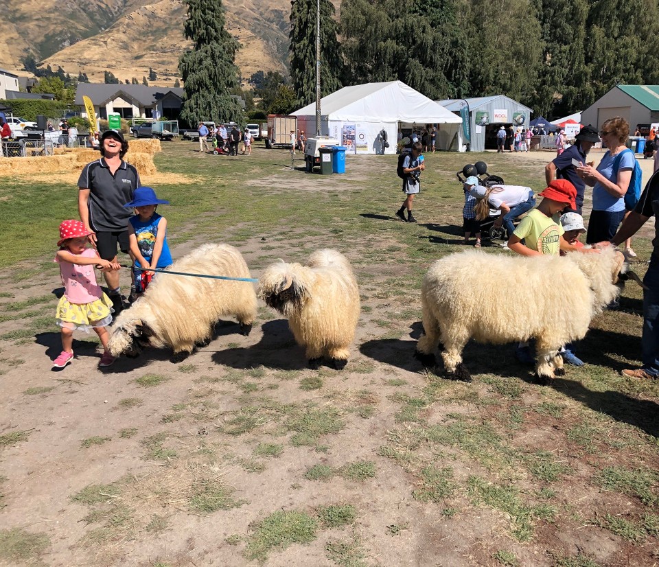 Neuseeland - Wanaka - 