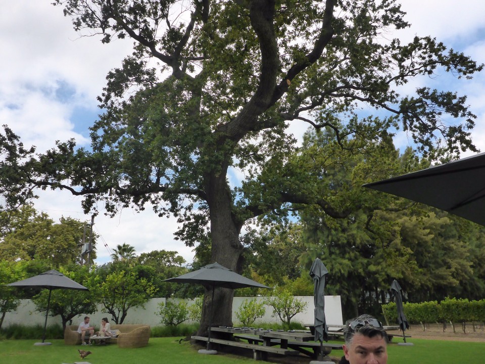 Südafrika - Stellenbosch - 