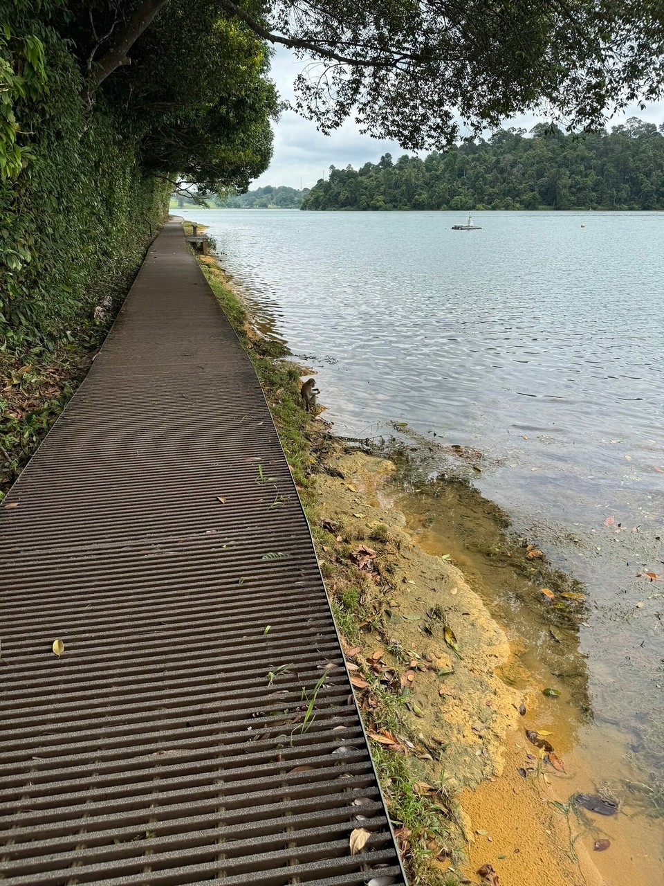 Singapur - Singapur - 