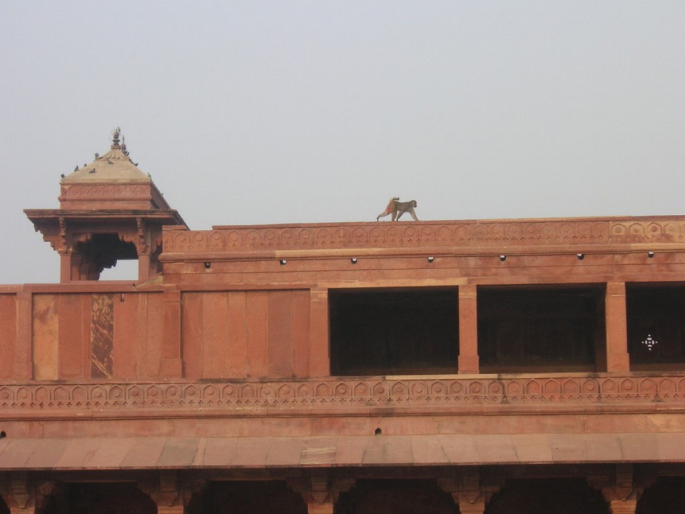 Indien - Fatehpur Sikri - Kurz nach Fertigstellung  um 1570 verlassene Stadt