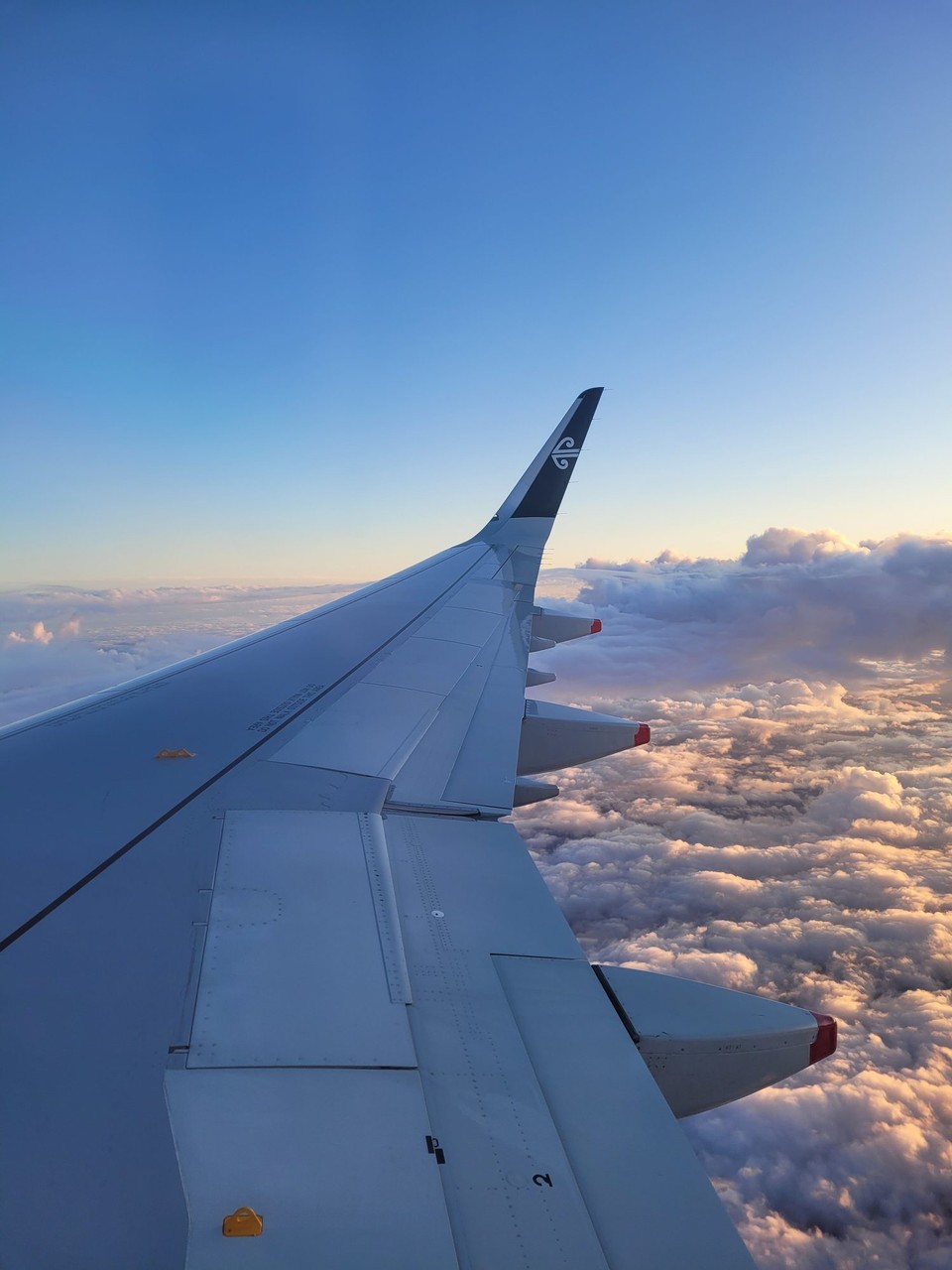 Neuseeland - Auckland - 
