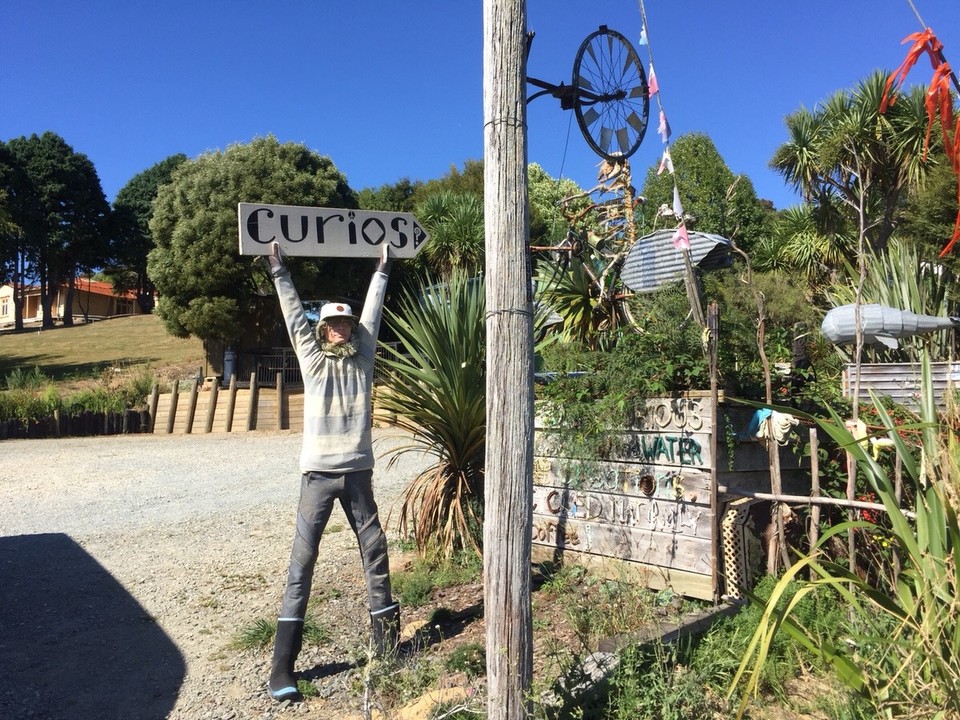 Neuseeland - Kaka Point - Mister Somerville mit seiner