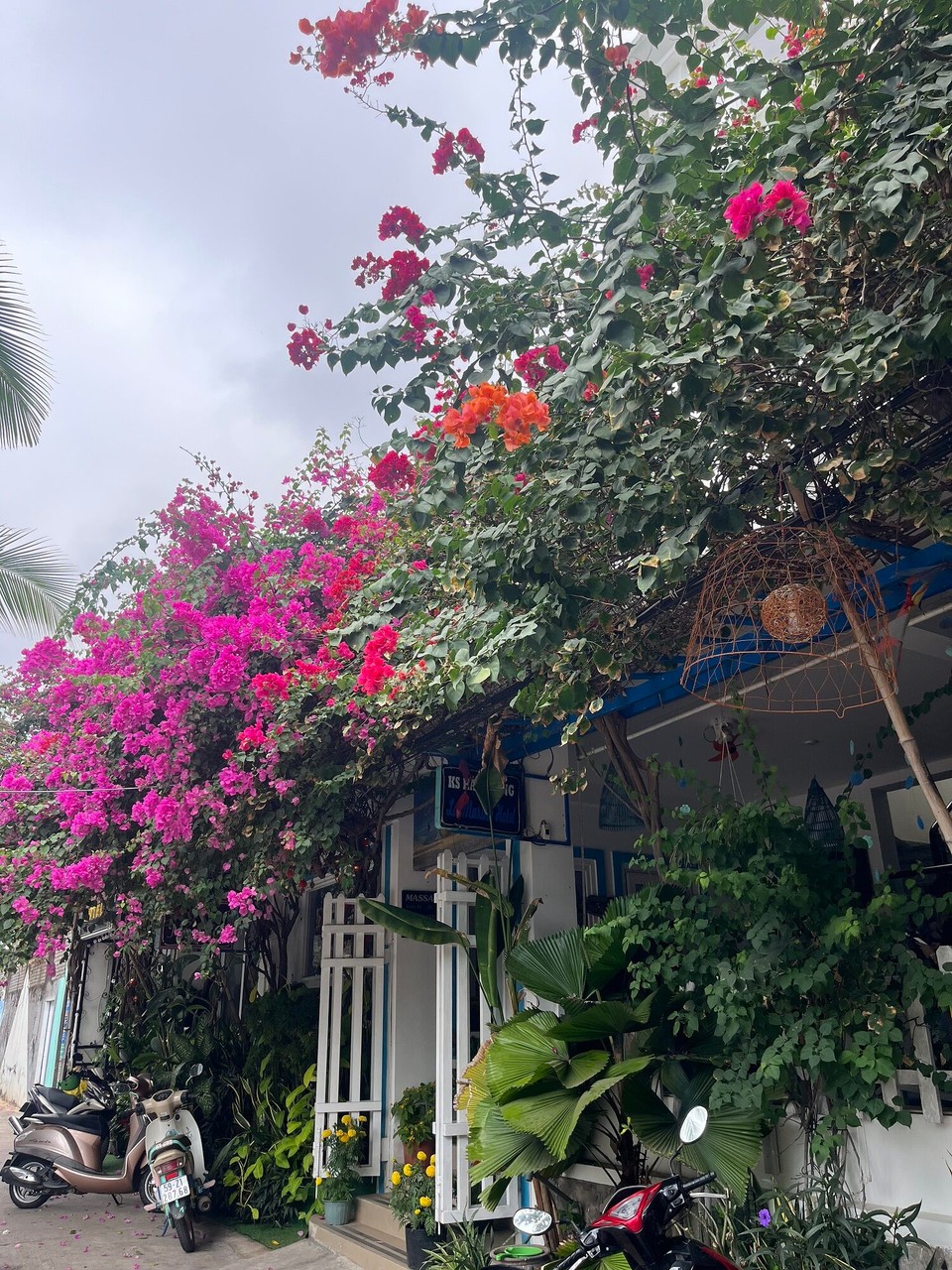 Vietnam - Phan Thiet - 