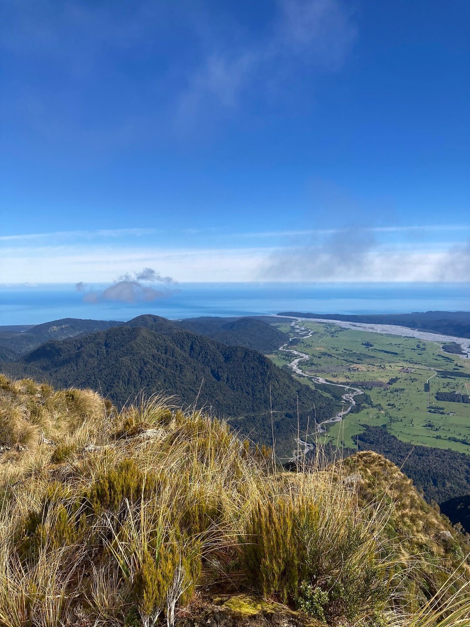 Neuseeland - Westland National Park - Tasmanische See in Sicht