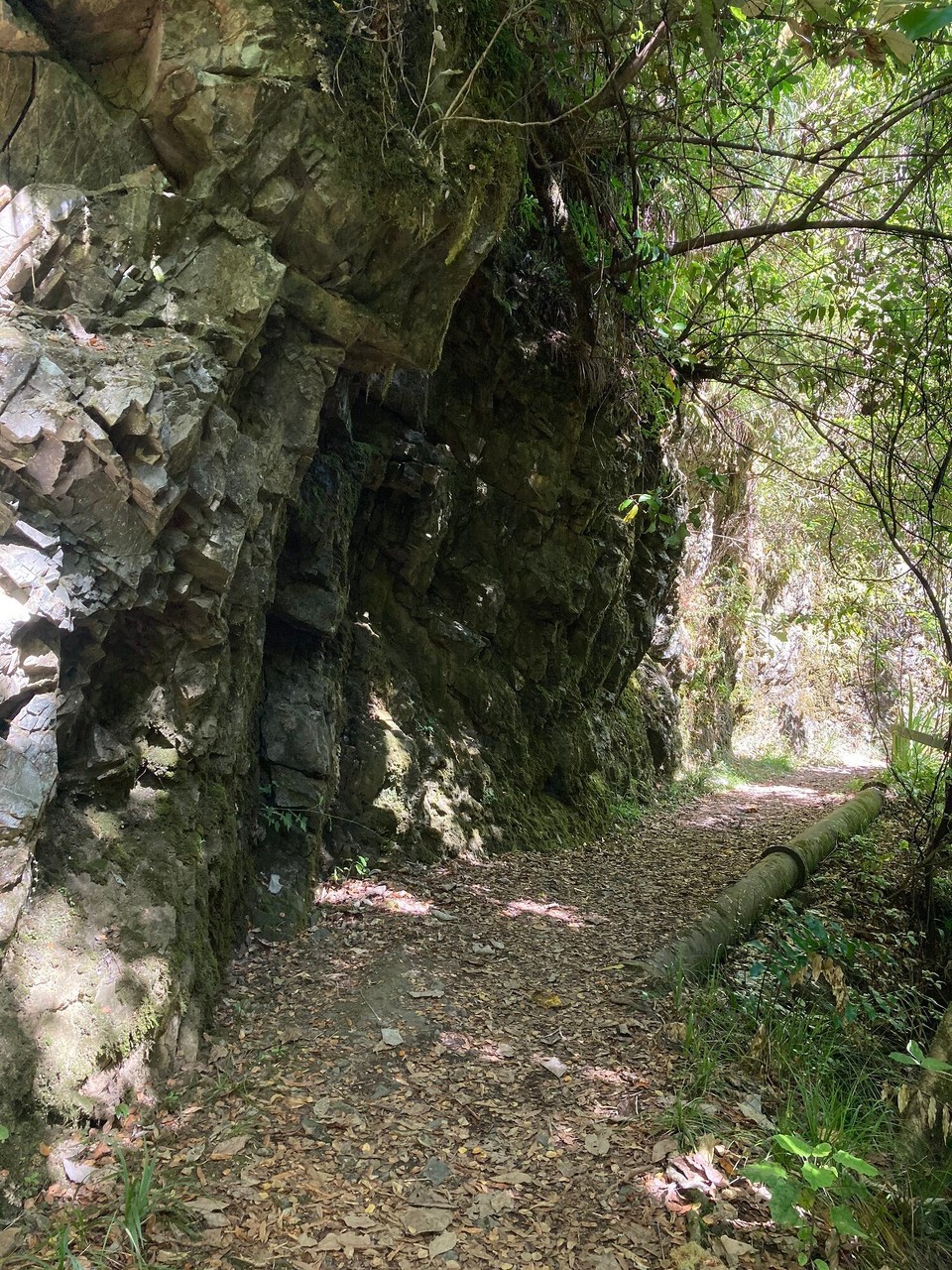 Neuseeland - Picton - 