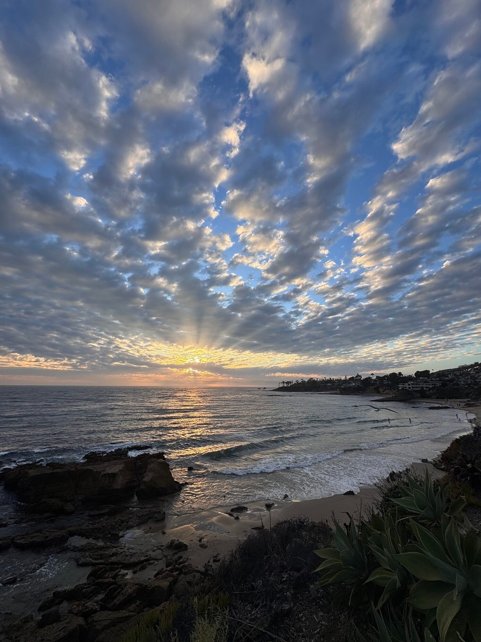 Vereinigte Staaten - Laguna Beach - 