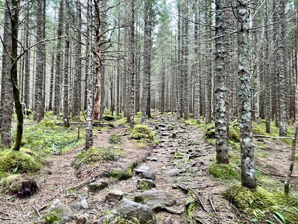Norwegen - Elnesvågen - 