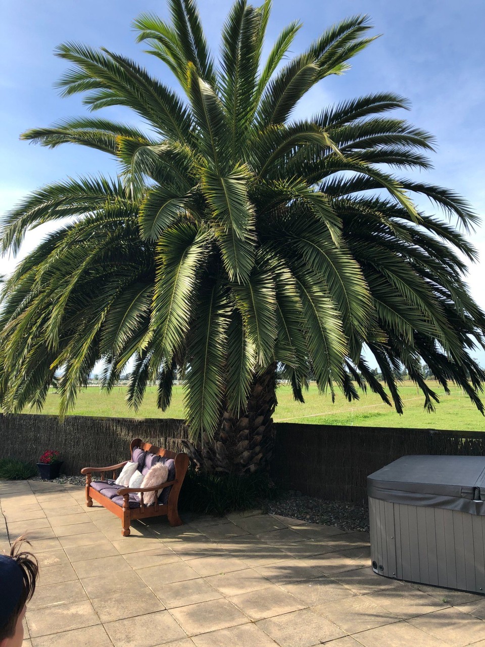 Neuseeland - Appleby - Am Pool