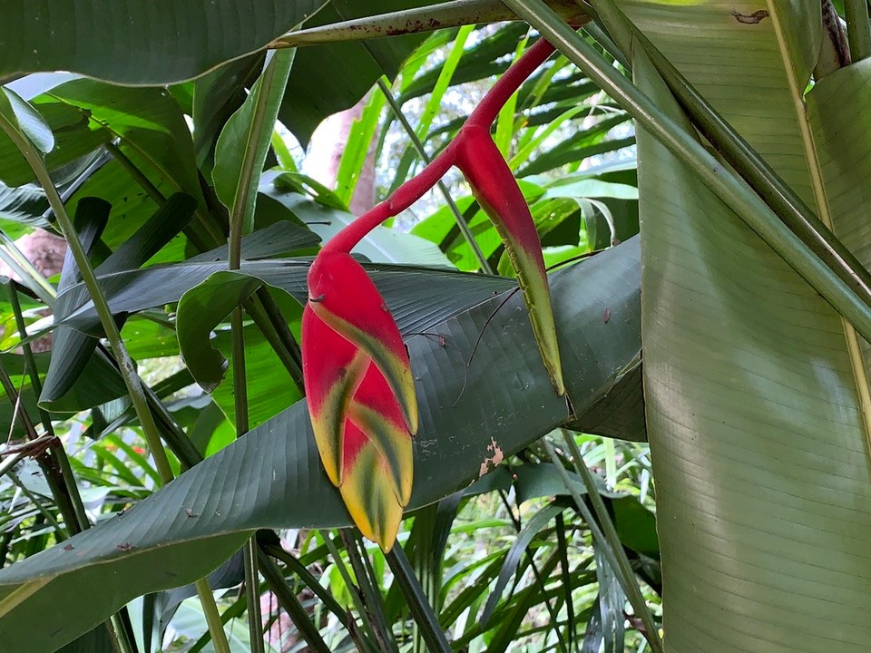 Laos -  - 