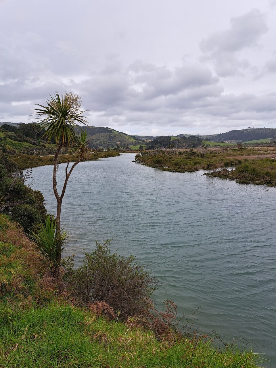 Neuseeland - Warkworth - Gestern konnten wir diesen Fluss bei eppe  durchwaten,  ietz ist Flut 