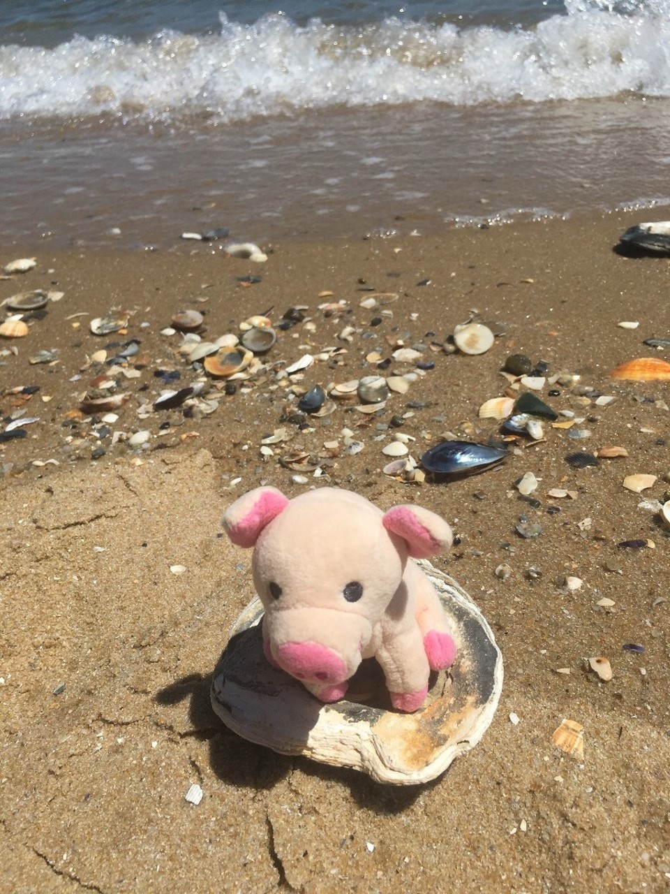 Australien - Brighton - Soooo schön!!!