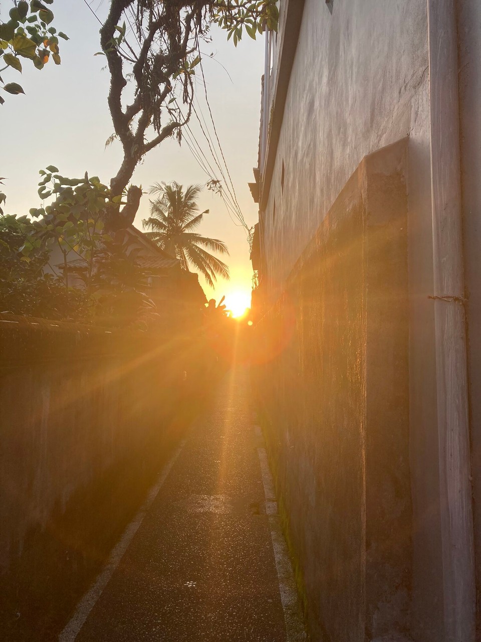 Indonesien - Gianyar - 