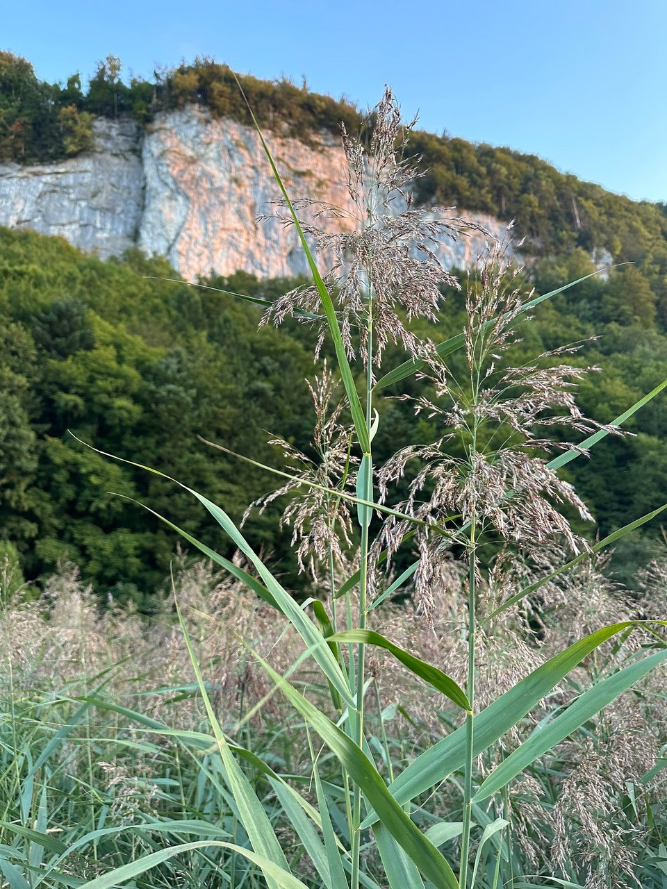 Schweiz - Seelisberg - 