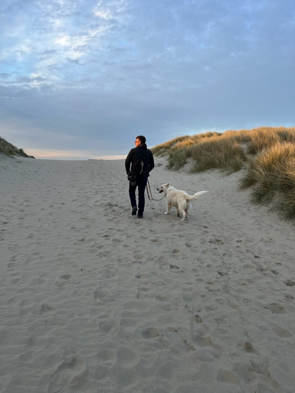 Belgien - Middelkerke - Geparkt, Hunde ausgeführt und uns auf dem Weg ans Meer gemacht. Die Wetterprognose war sehr, sehr bescheidend….