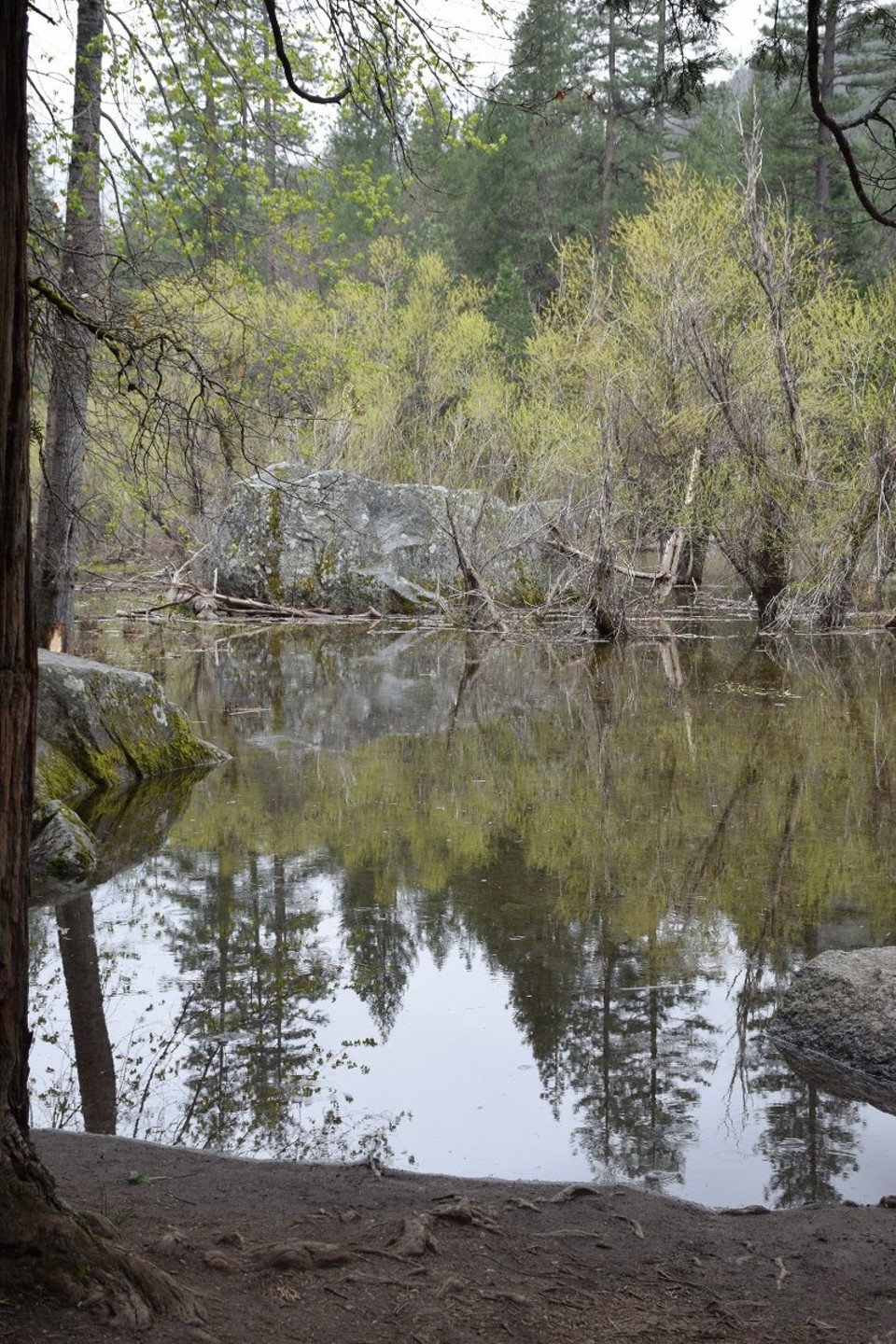 USA - Yosemite-Nationalpark - Ein schönes Spiegelbild :)