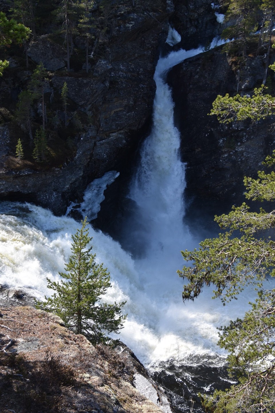 Norwegen - Bjorli - 