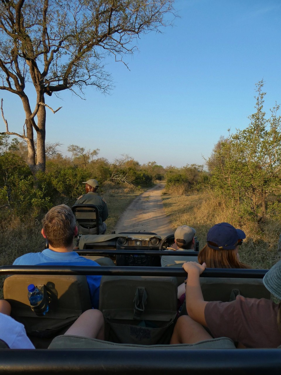 Südafrika - Kruger-Nationalpark - 
