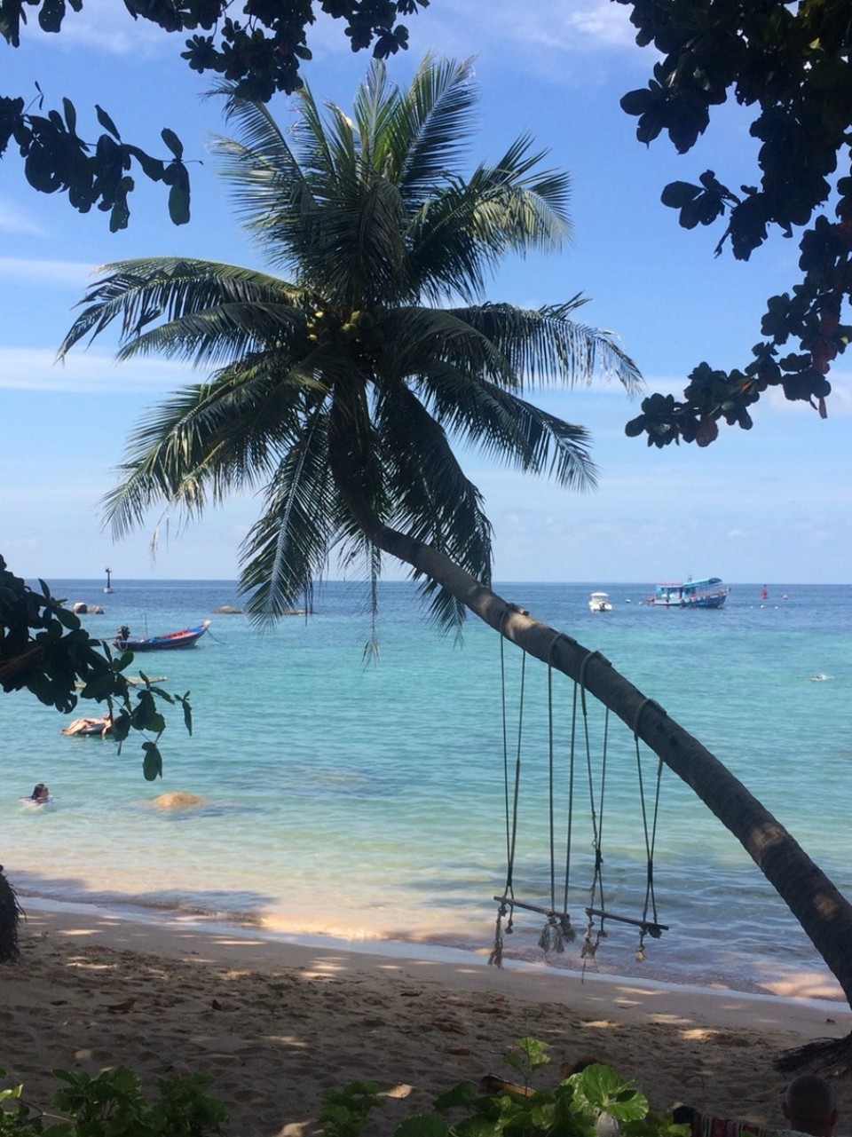 Thailand - Ko Tao - 