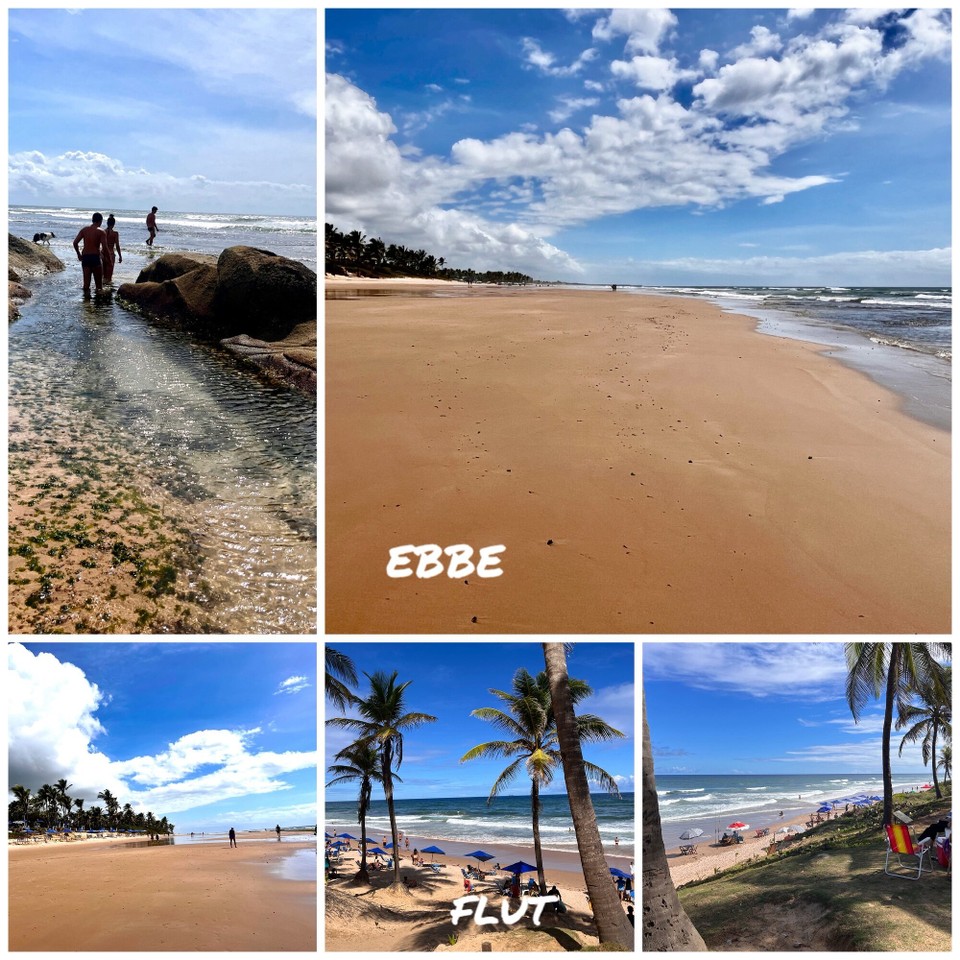 Brasilien - Salvador - Ebbe Flamengo