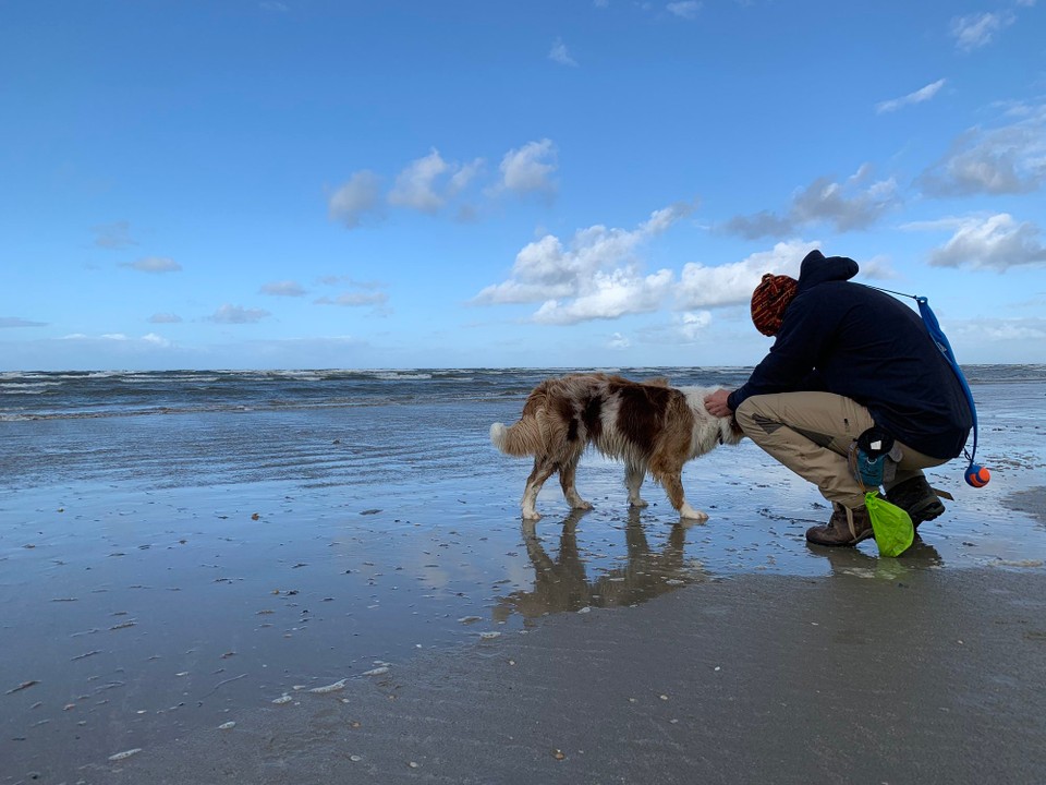 Danmark - Fanø - 