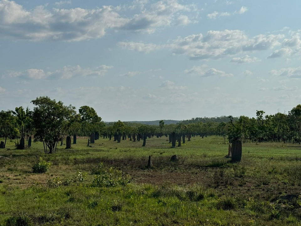 Australien - Litchfield Park - 
