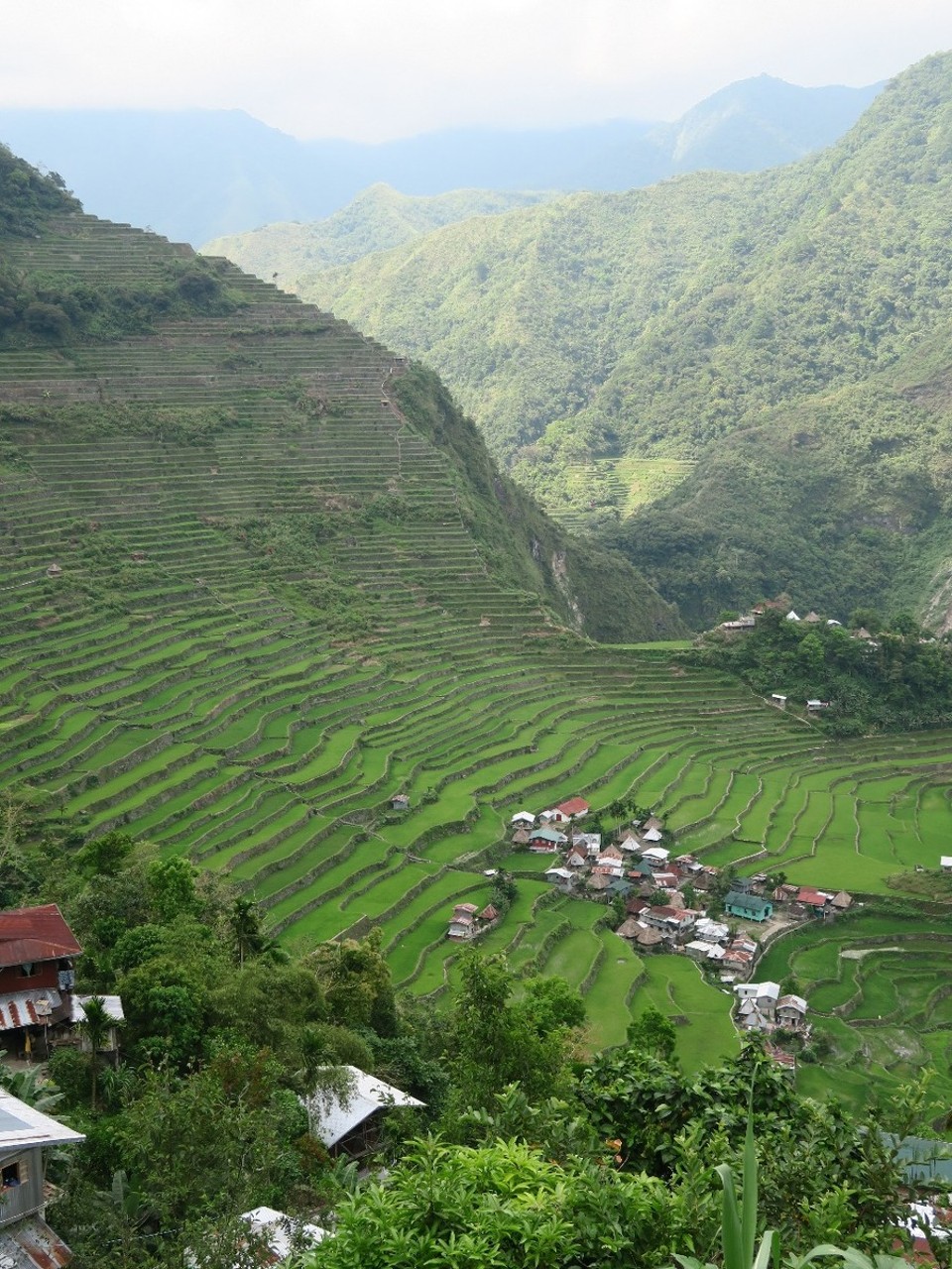 Philippines - Banaue - Batad, les rizieres en amphiteatre, a 1h de Banaue