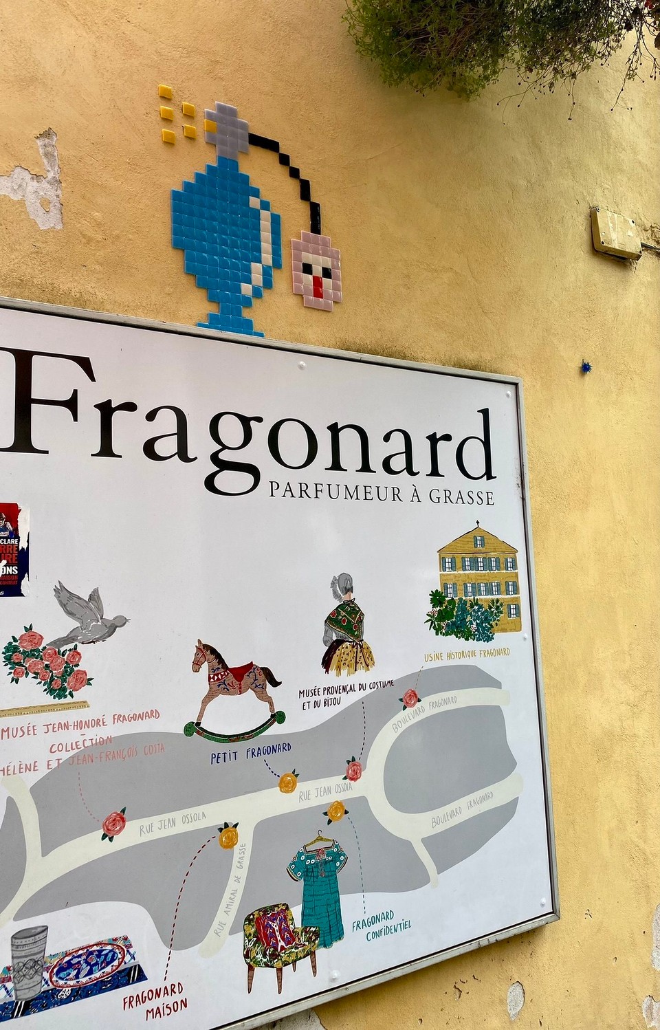 Frankreich - Grasse - 