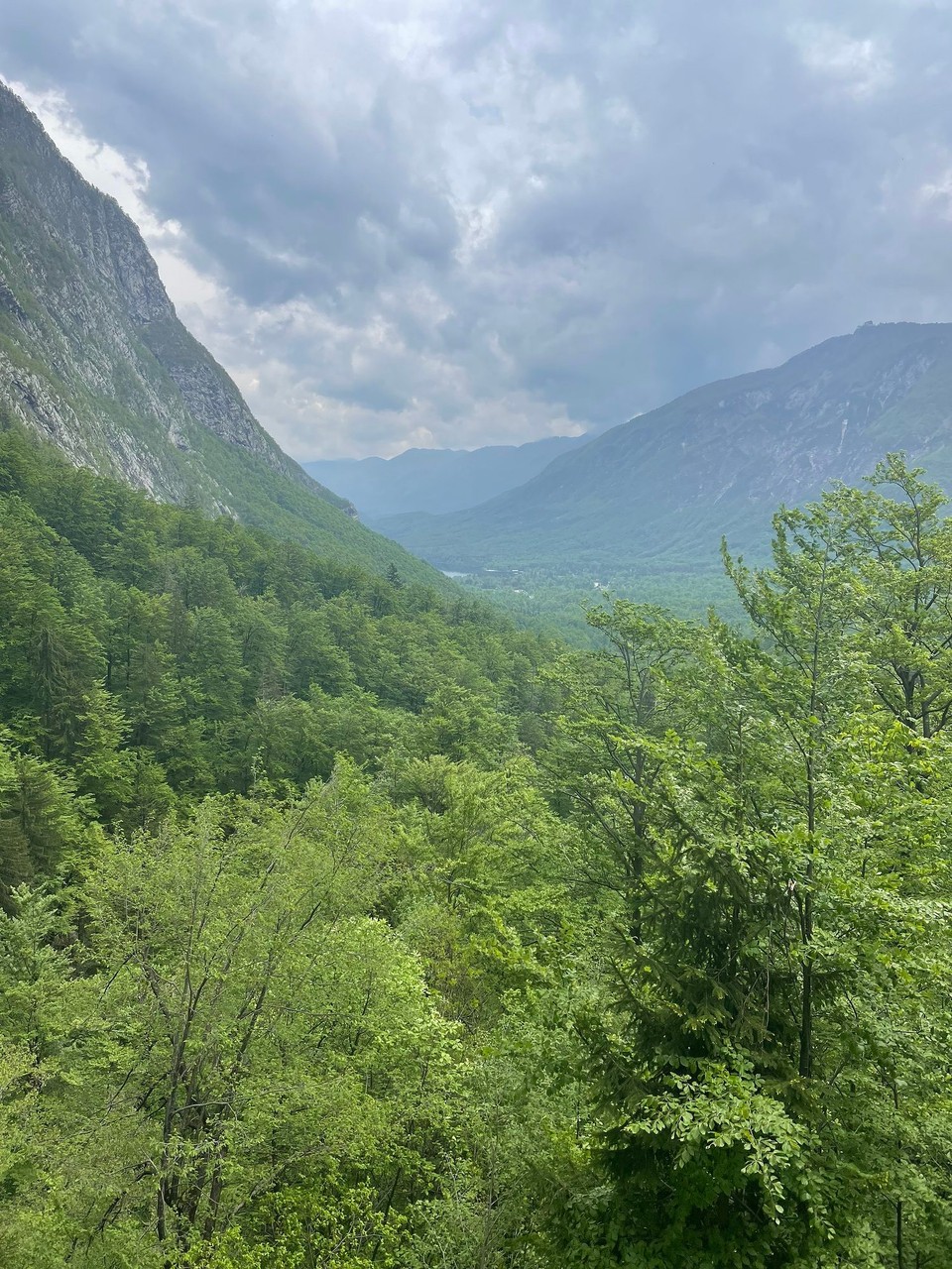 Slowenien - Bohinjsko Jezero - Blick in das Bohinjer Tal 