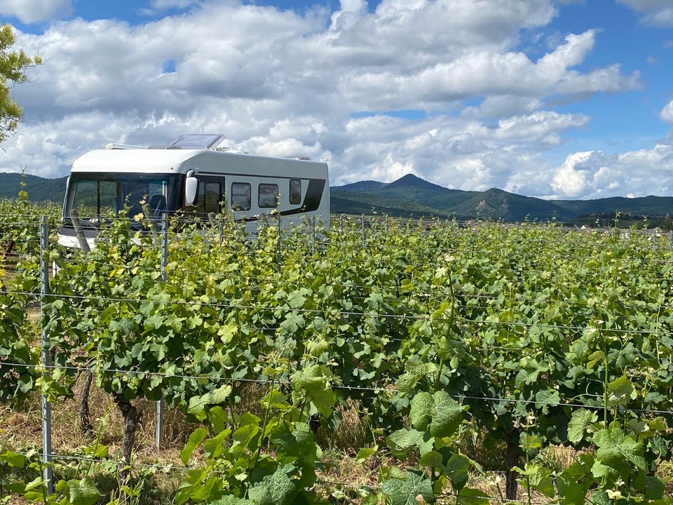 Frankreich - Ribeauvillé - 