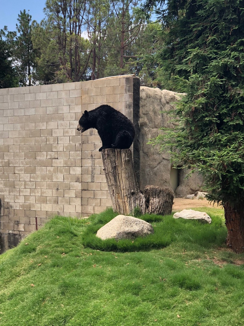 Vereinigte Staaten - Bakersfield - 22.07.2019 - CALM - California Living Museum