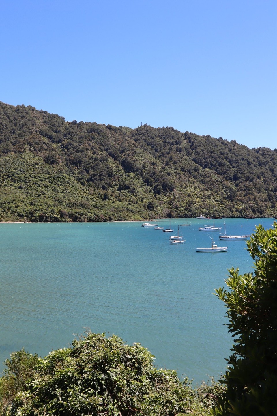 Neuseeland - Picton - 
