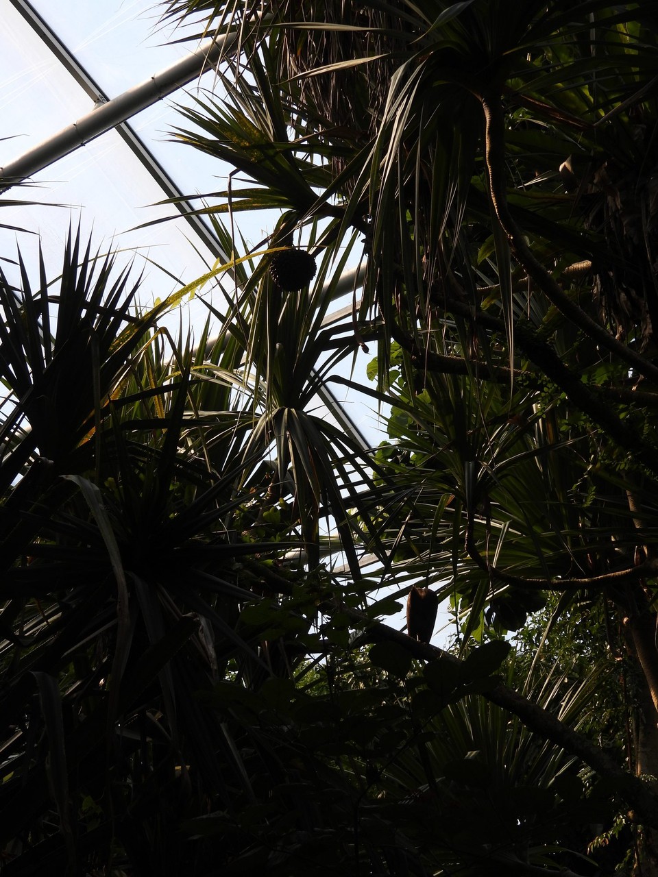 Madagaskar - unbekannt - 