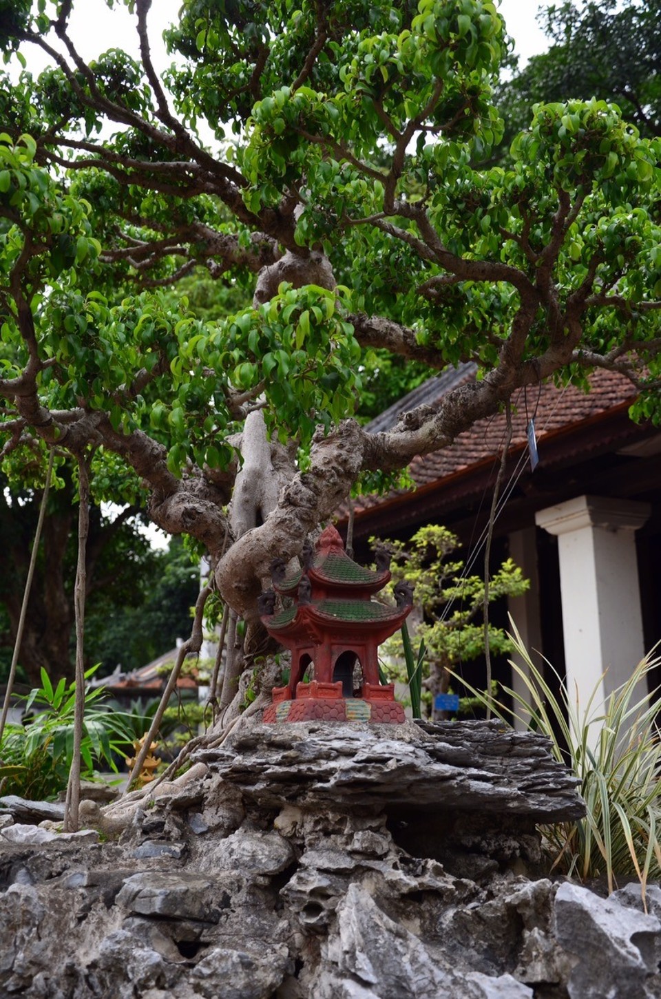 Vietnam - Hanoi - 